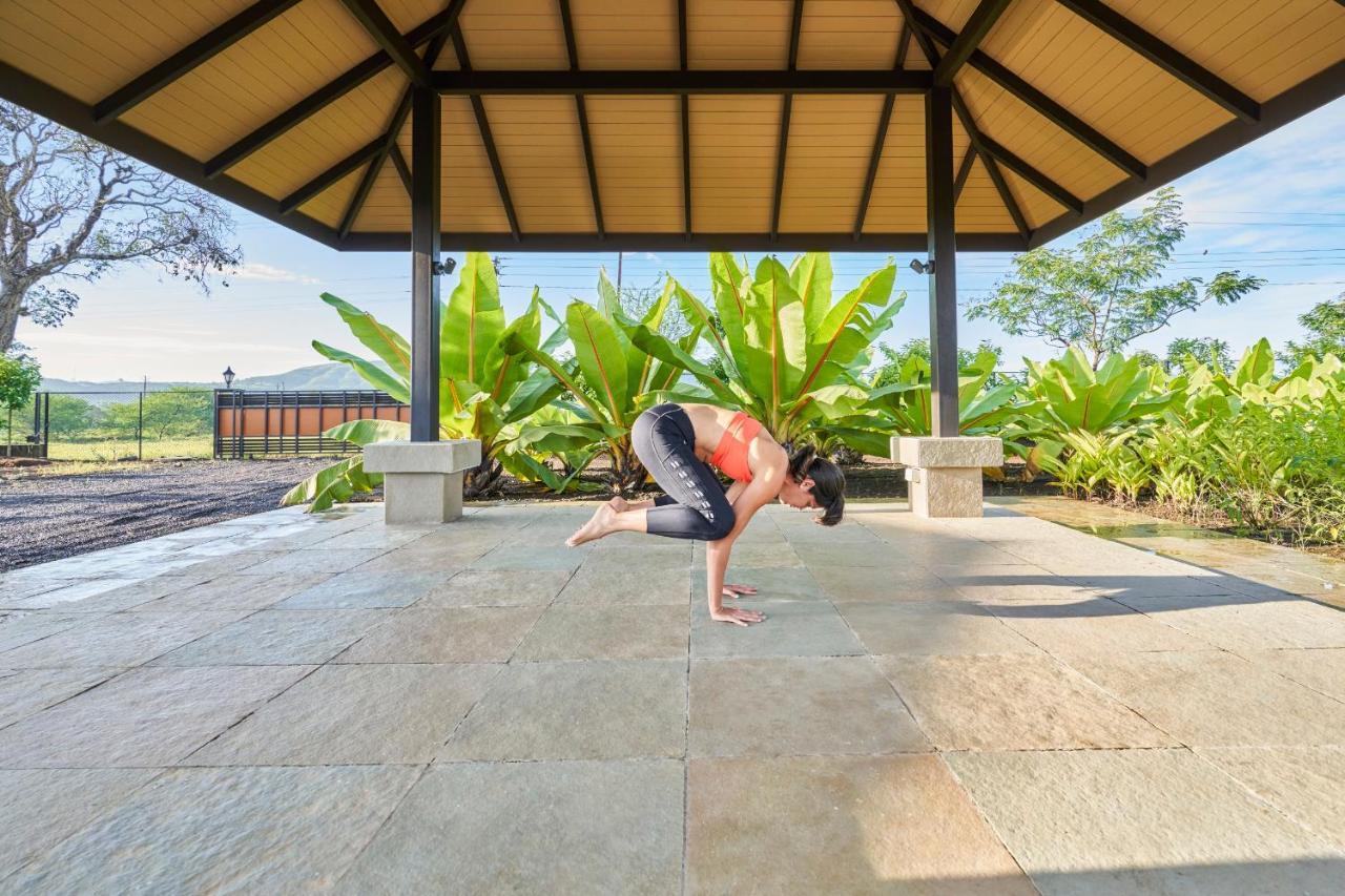 Viveda Wellness Resort ナーシク エクステリア 写真